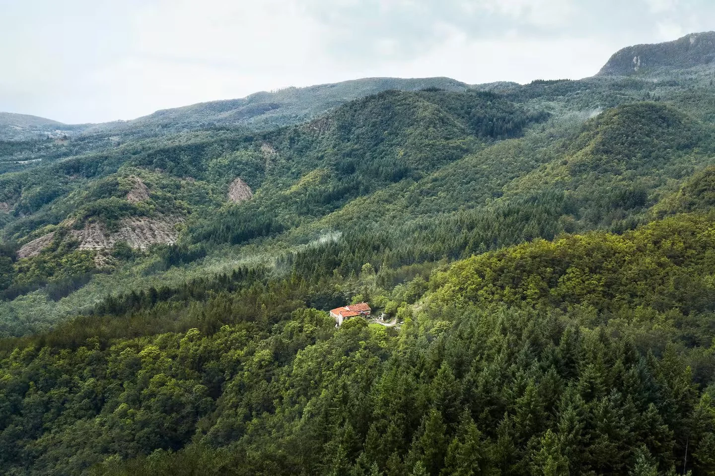 location6.jpg