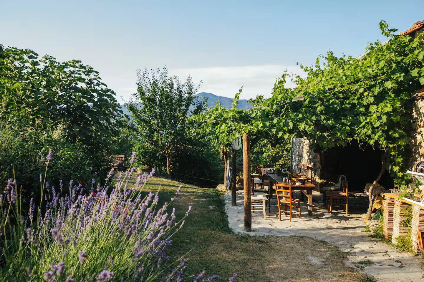 outdoor4.jpg