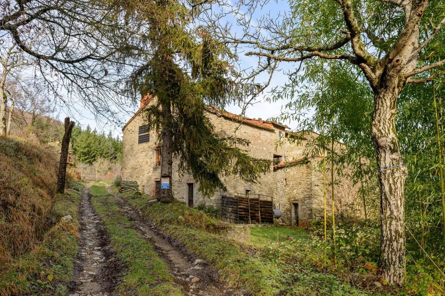 exterior4.jpeg