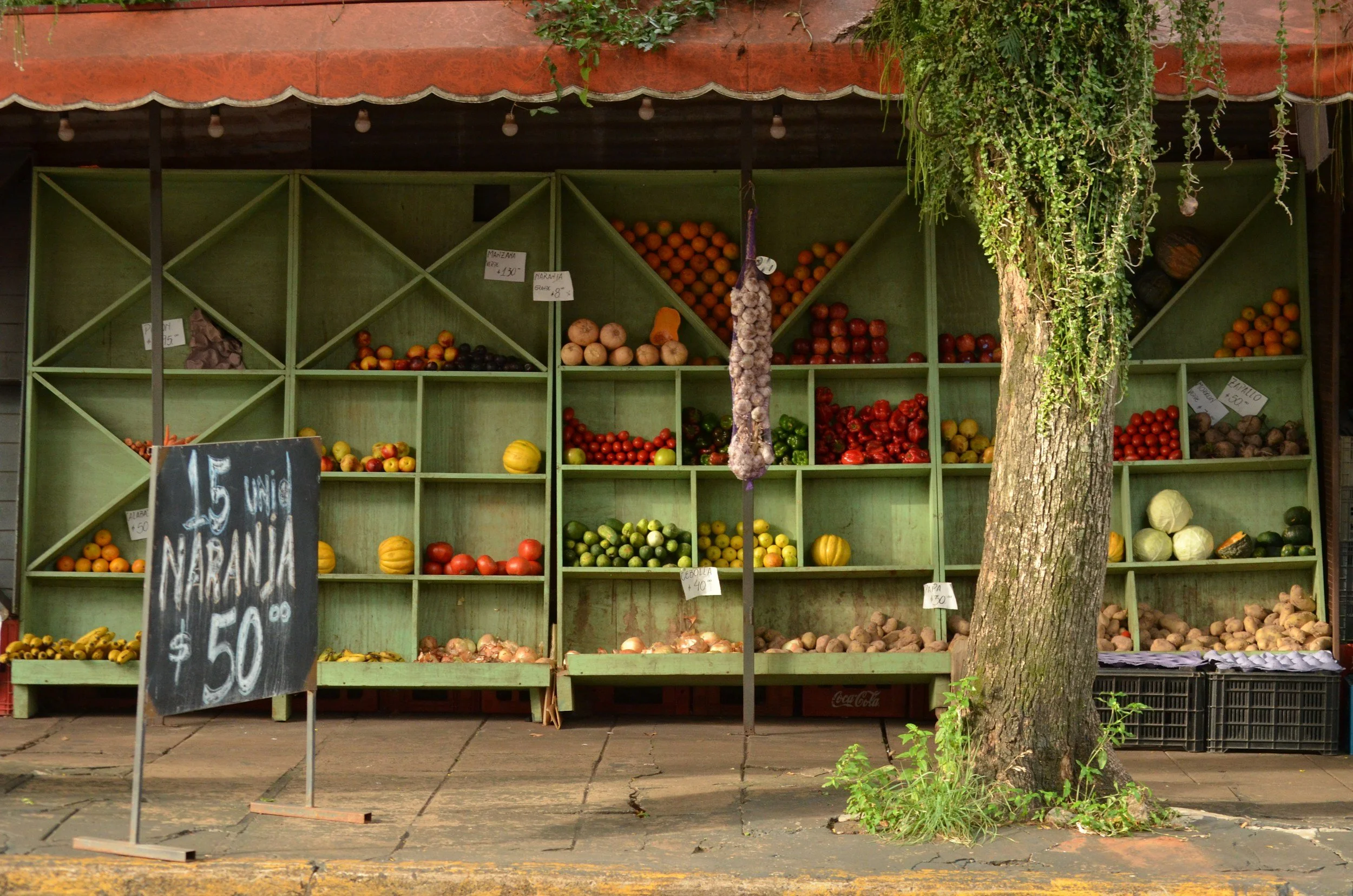 Street stand with green wooden shelves filled with various fruits, including tomatoes, zucchinis, eggplants, and citrus. A chalkboard sign indicating '15 UNID NARANJA $50.00'. A tree with some green plants at its base is in front of the stand, and a hanging garlic bulb is visible.