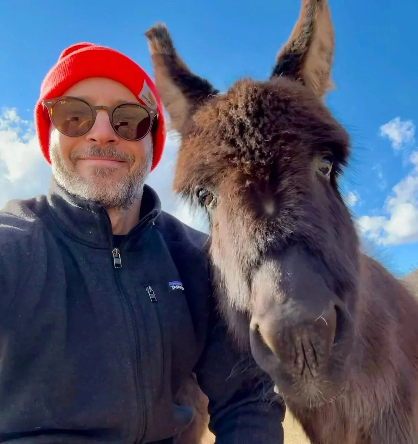 A man wearing sunglasses, a red beanie, and a black Patagonia jacket taking a selfie with a donkey against a blue sky with some clouds.