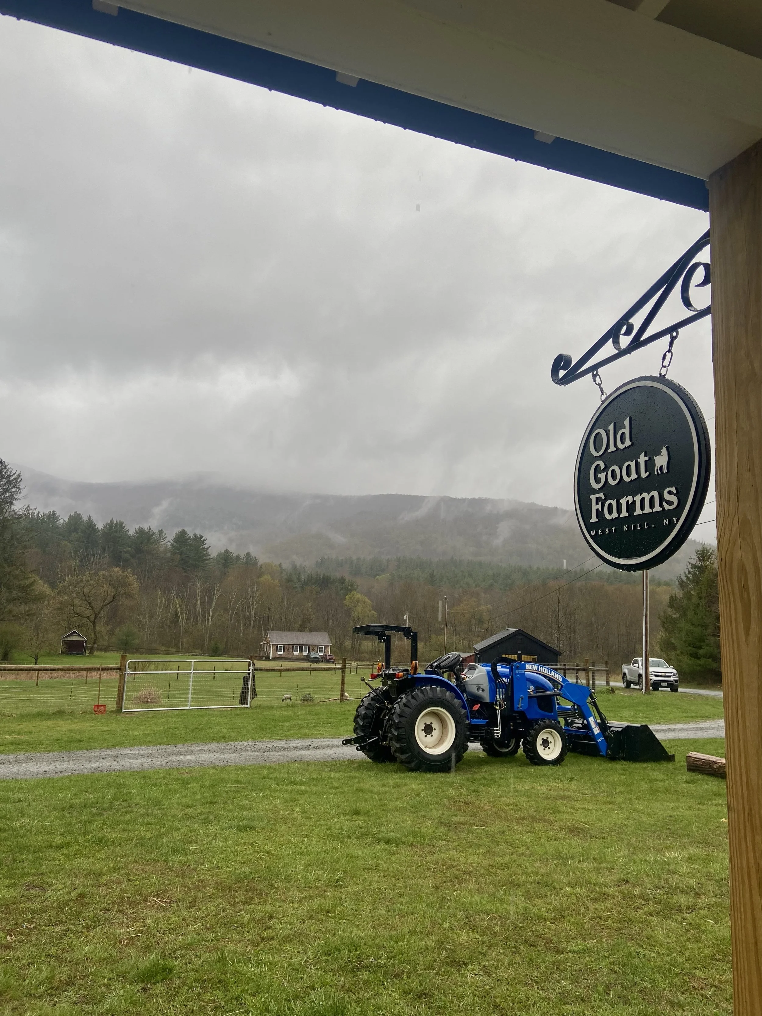 Farm store looking out at the pasture and farm stay