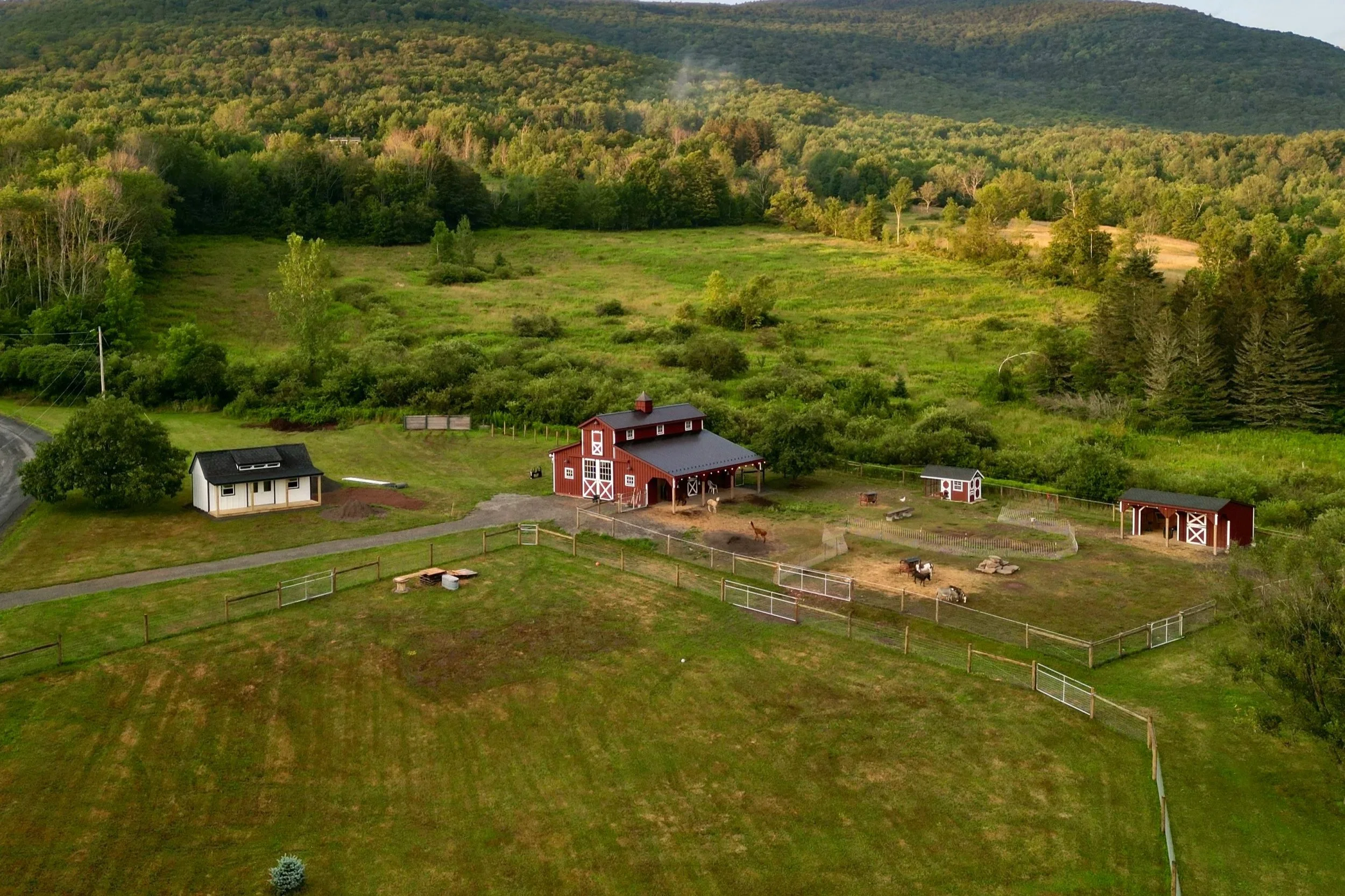 Aerial view of a farm surrounded by green fields and forested hills, featuring a red barn, a white shed, and a fenced pasture with horses.