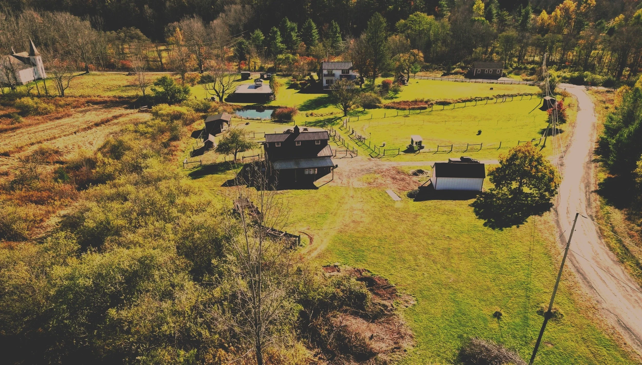 Aerial view of rural farm with several houses, barns, fenced areas, a pond, and a dirt road surrounded by trees and open grassy fields.