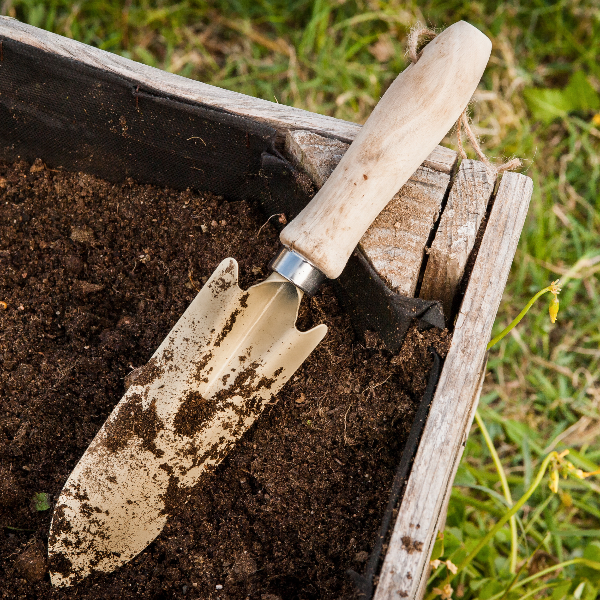 A gardening trowel with dirt on the blade resting on the soil inside a wooden garden bed.