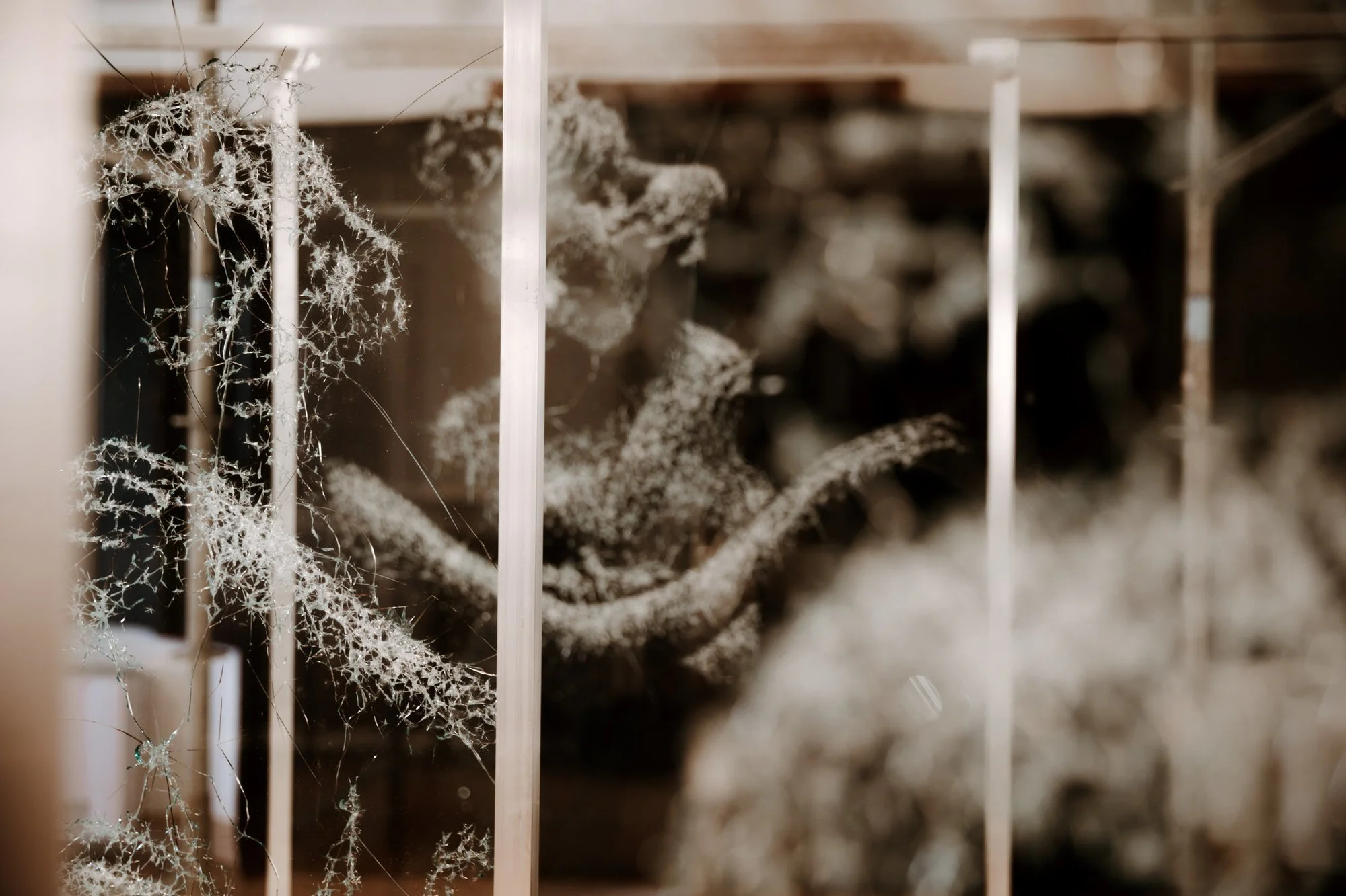 Detail of fractured glass, Simon Berger, Facing Grace, 2023