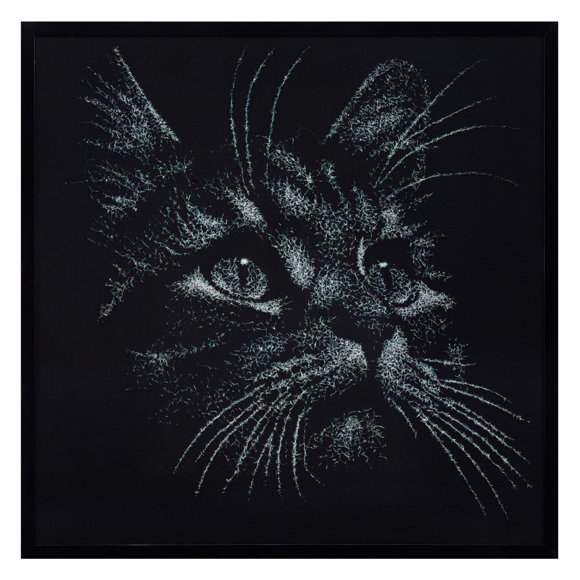 Cat, 150/150 cm, 2025