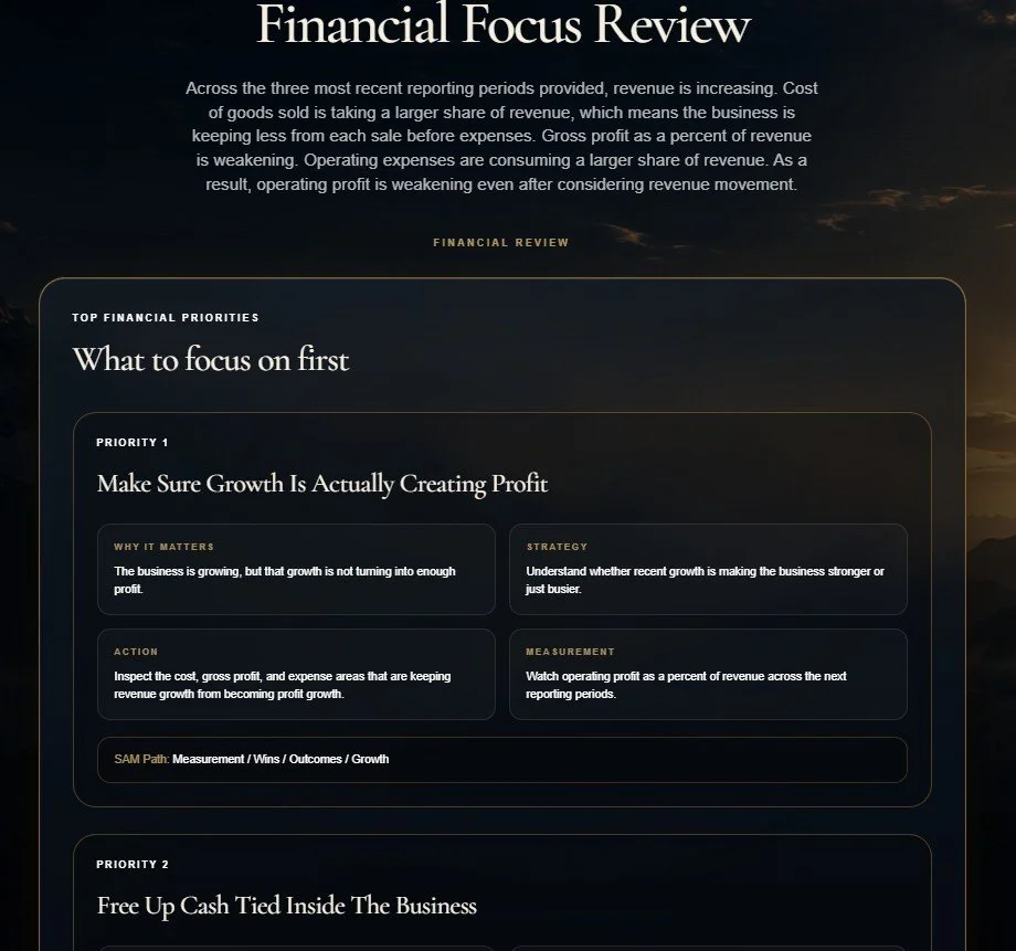 Screenshot of a financial report titled 'Financial Focus Review', discussing recent revenue trends, business growth, profitability, and cash flow priorities.