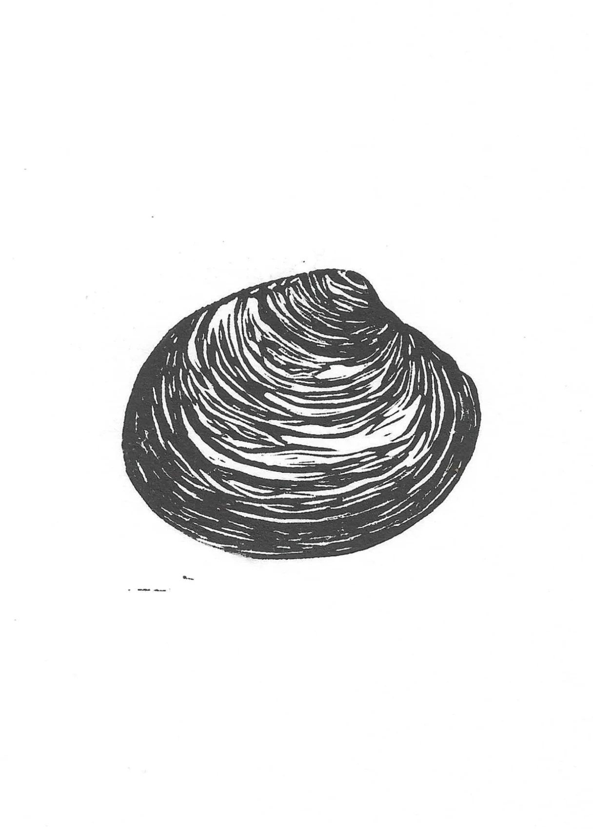 linocut+shell.jpg