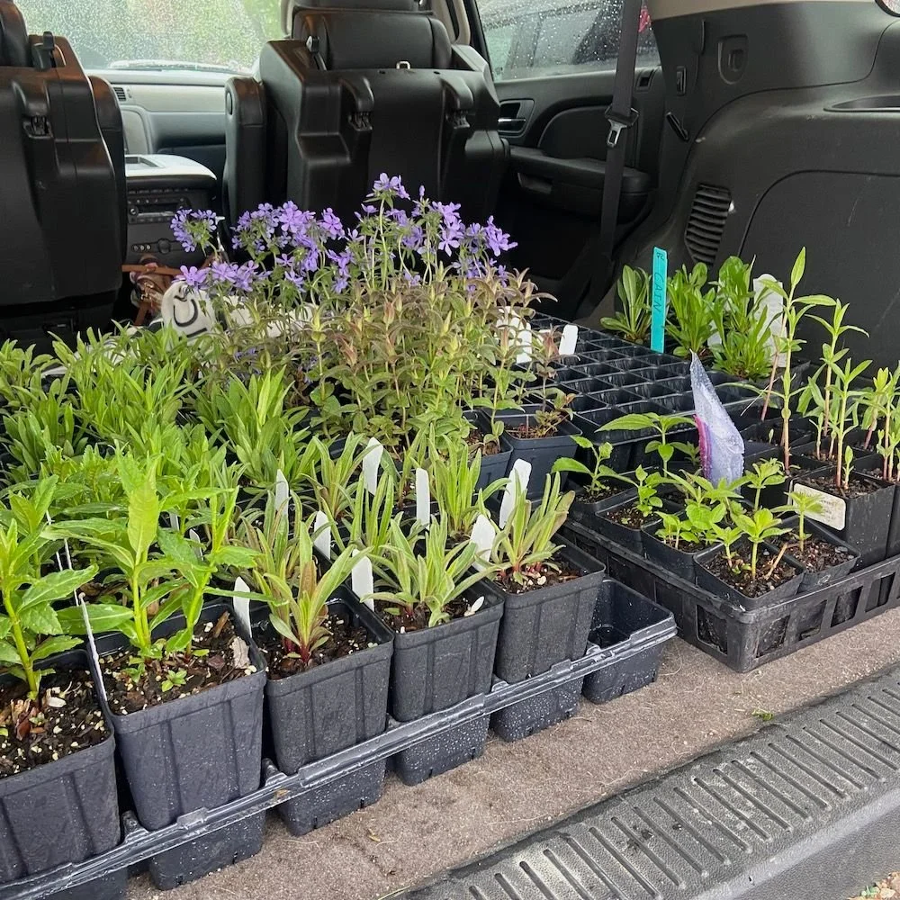 Hobbies - Plants.jpeg.jpg