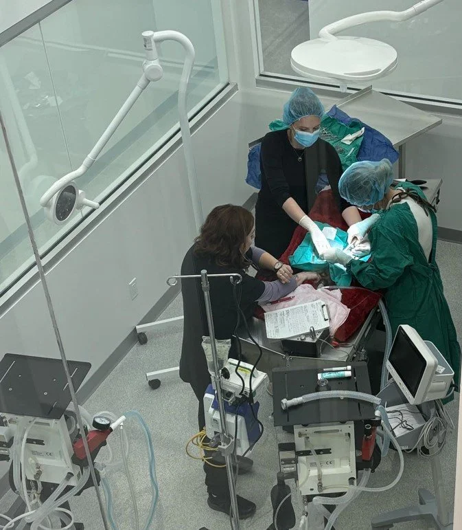 surgery.jpg