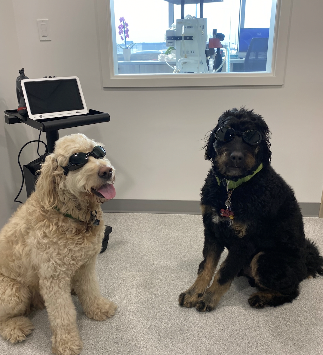 65ce1eba558e53cc5c305270_Screen Shot 2024-02-15 at 9.24.46 AM.png