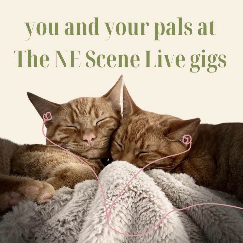 Find and share new favourite local tunes with your mates at either or both our gigs in July! 🎵

Check out our event pages on our website or head straight over to Eventbrite to grab yours now save yourself some cash on the door! 📆

#thenescene #nort