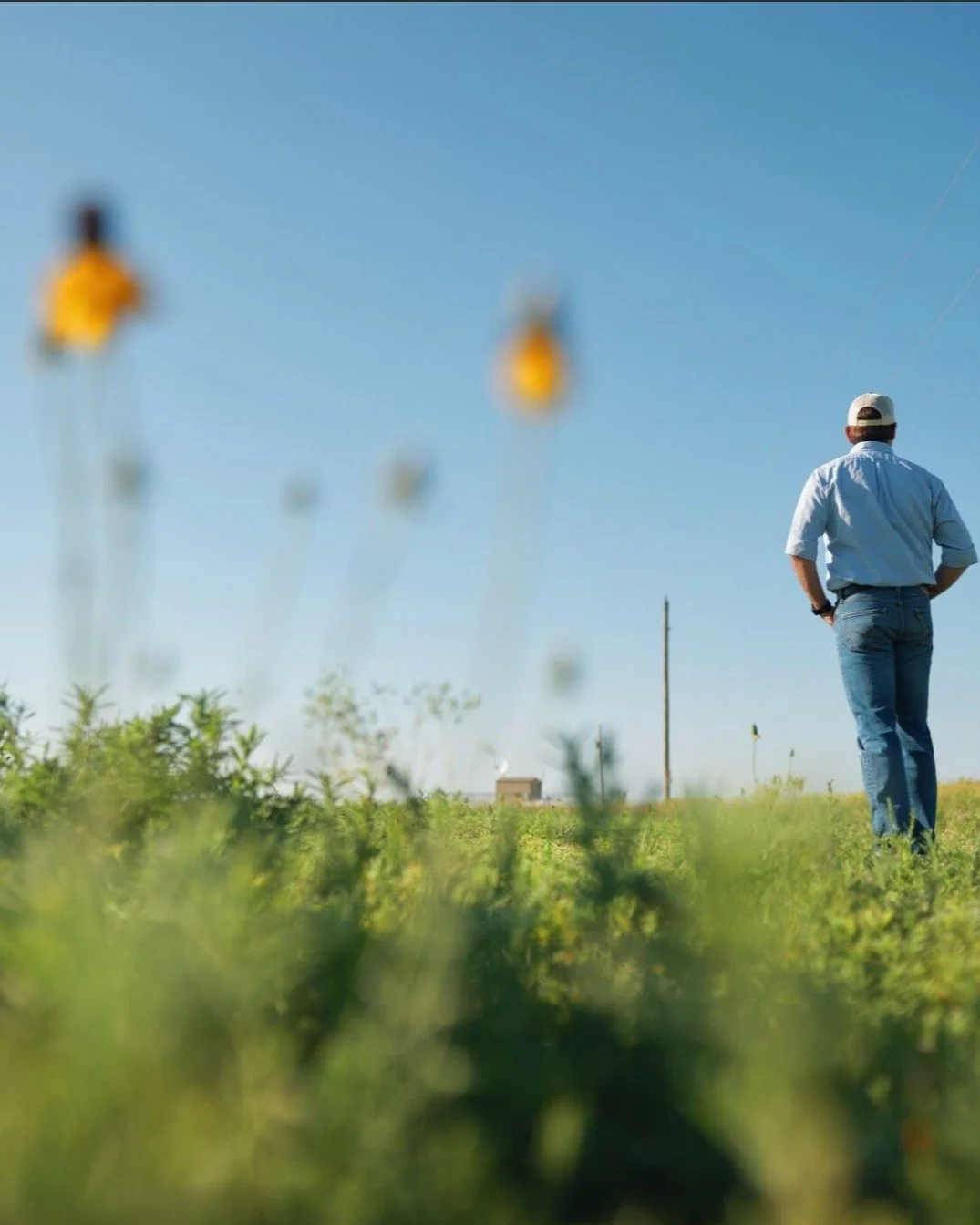 If you want to understand why neonics are still on nearly every field in Colorado - you have to follow the money 💰

Here are the facts:

🧪 Many field crop seeds come automatically coated in neonic pesticides.
🛑 Farmers often can&rsquo;t even order