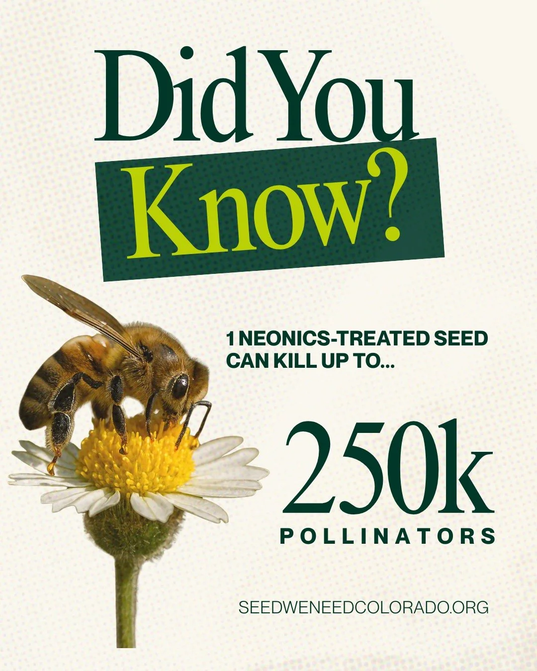 Pollinators contribute to BILLIONS of dollars of agricultural production in Colorado.

When pollinators struggle, yields drop. 

When yields drop, farmers and rural communities pay the price. 📉

Wild bees and honeybees keep Colorado&rsquo;s melons, 