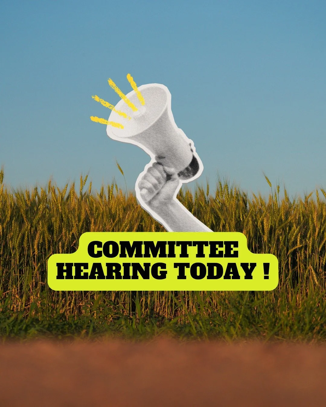 Today, it&rsquo;s critical that Colorado&rsquo;s Senate Agriculture &amp; Natural Resources Committee passes SB 65, the SEED Act, to protect Coloradans&rsquo; health, ecosystems, and water.

The Committee will hear from supporters of the SEED Act&rsq