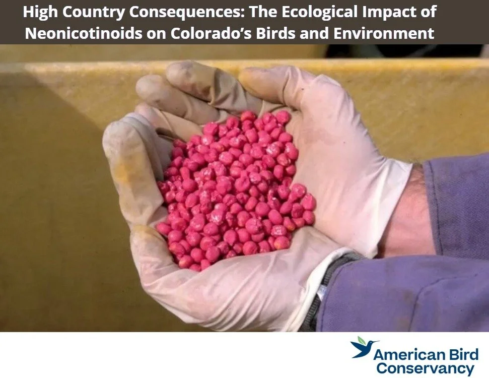 You're invited to the FREE Colorado pesticide webinar, "High Country Consequences: The Ecological Impact of Neonicotinoids on Colorado's Birds and Environment". Learn about the toxicity threats to birds from pesticides, as well as policy so