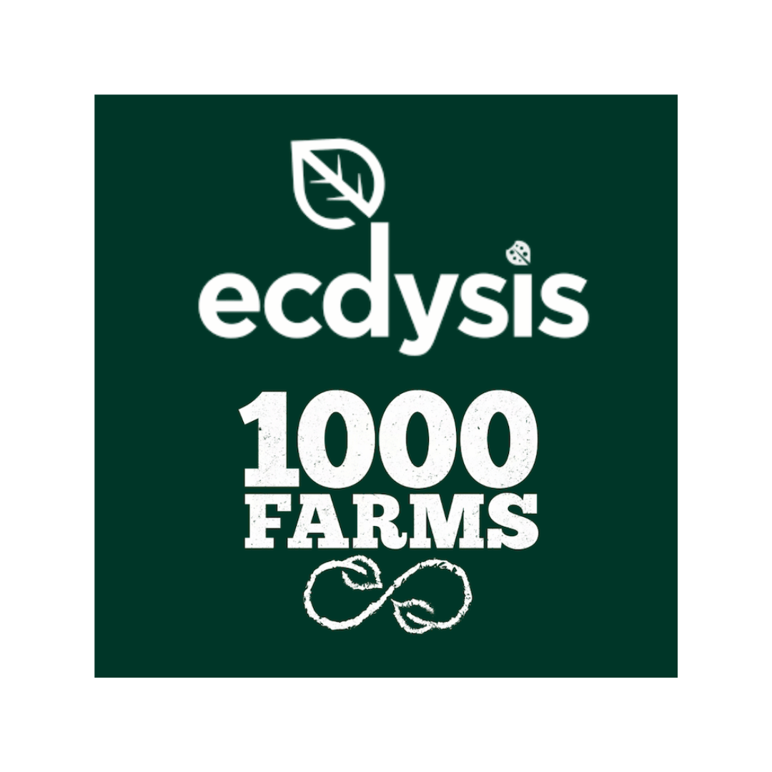 Ecdysis Foundation (1).png