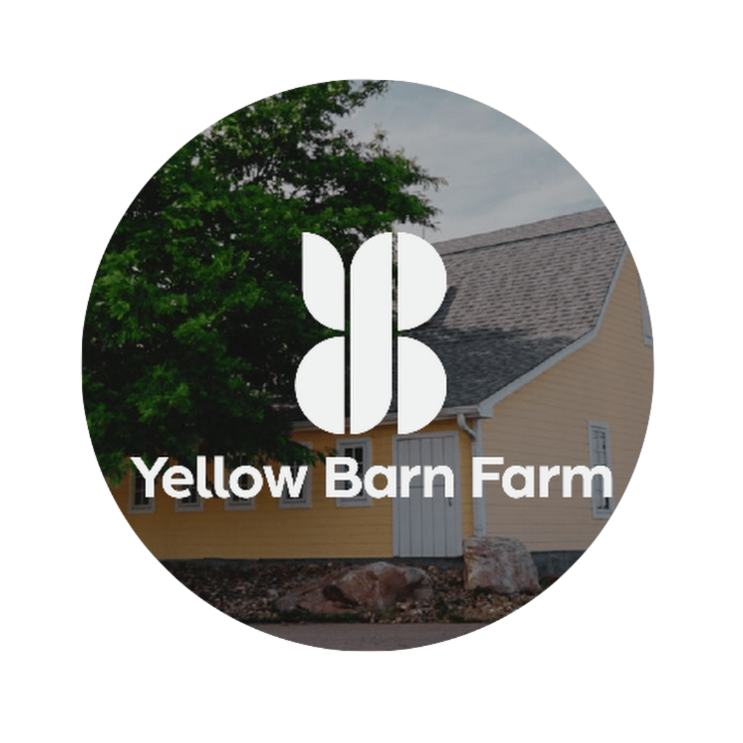 Yellow Barn Farm.png