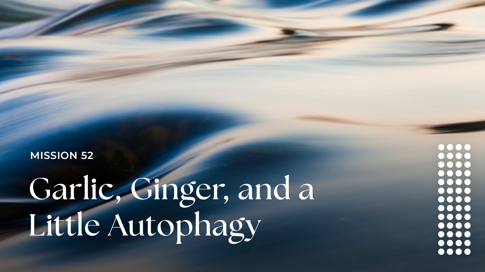 Garlic, Ginger, and a Little Autophagy