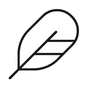 Feather icon