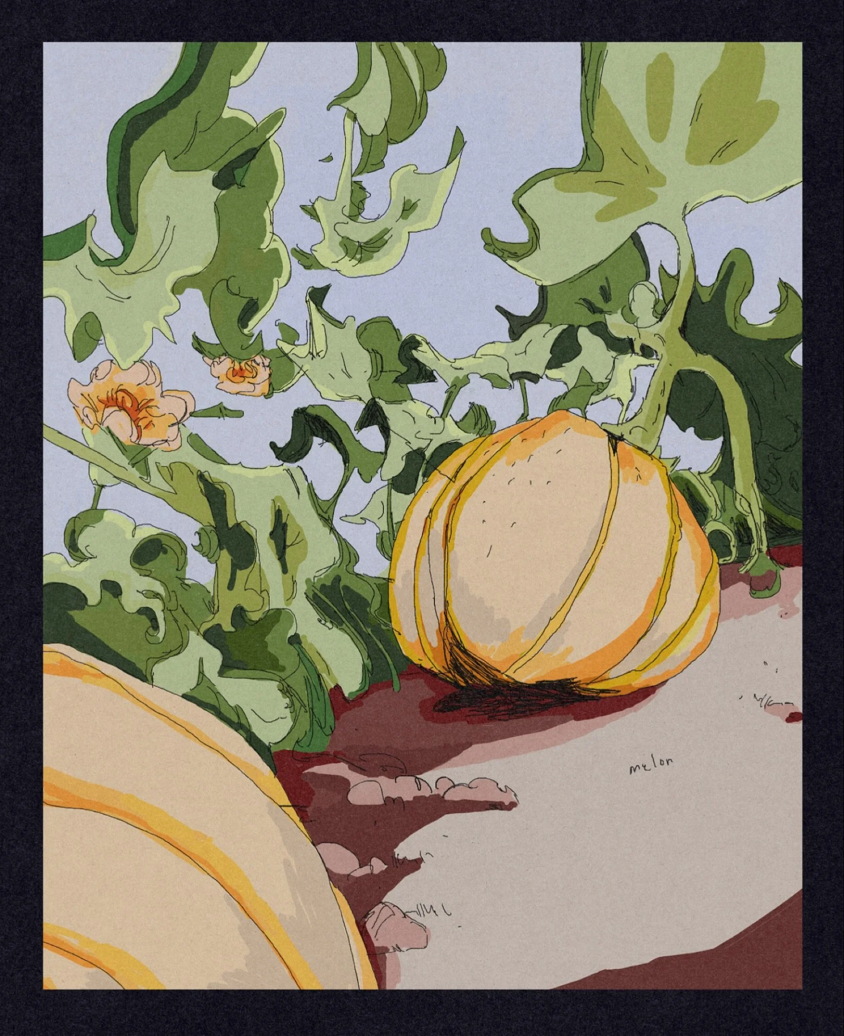 Melon 🍈 

@peachtober day 19 !

We&rsquo;ve made it pretty far! ☺️🌱✨

#peachtober #peachtober25 #peachtober25melon