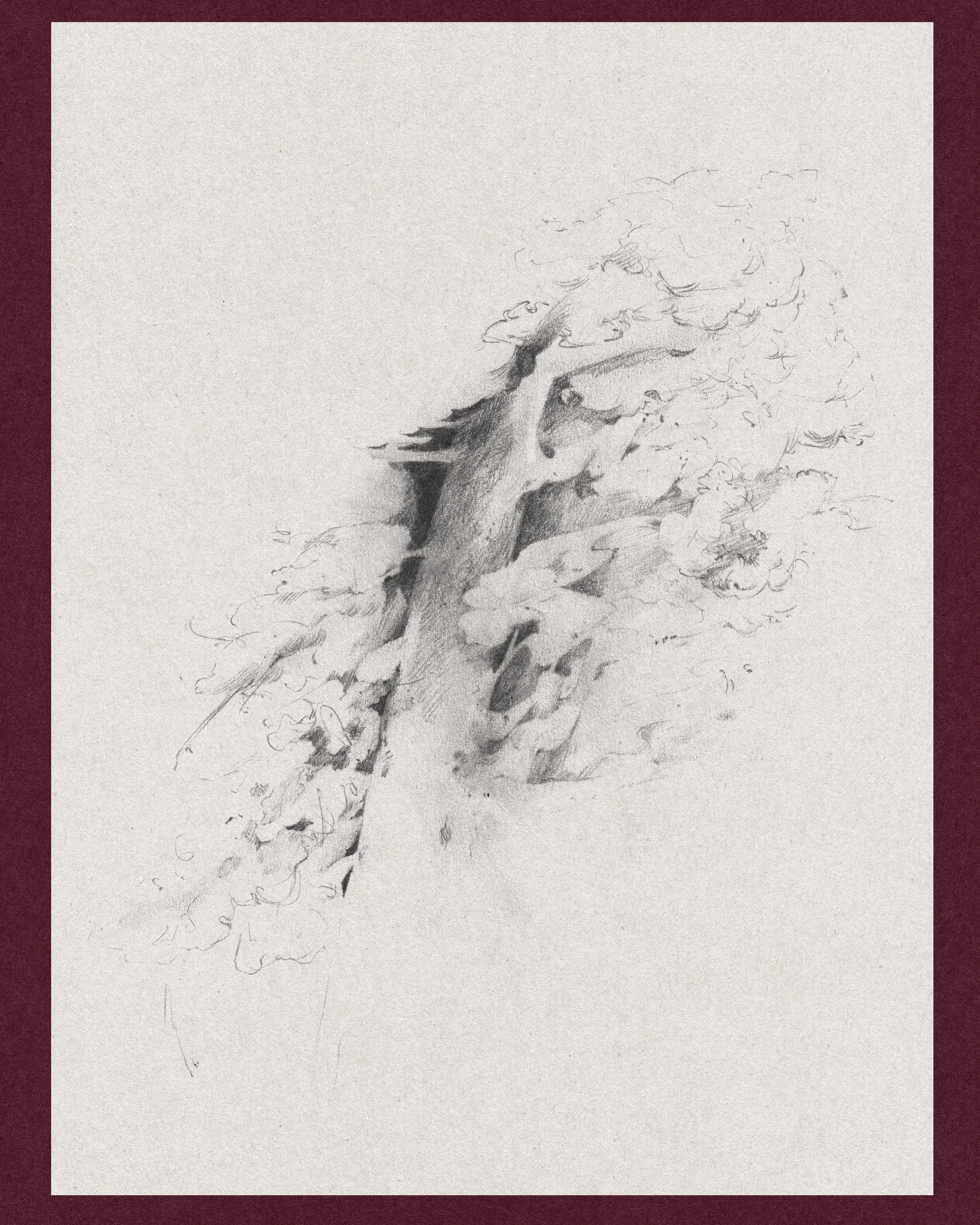 A pencil sketch of a tree with a thick trunk and sprawling branches, some detailed leaves, on a beige background.