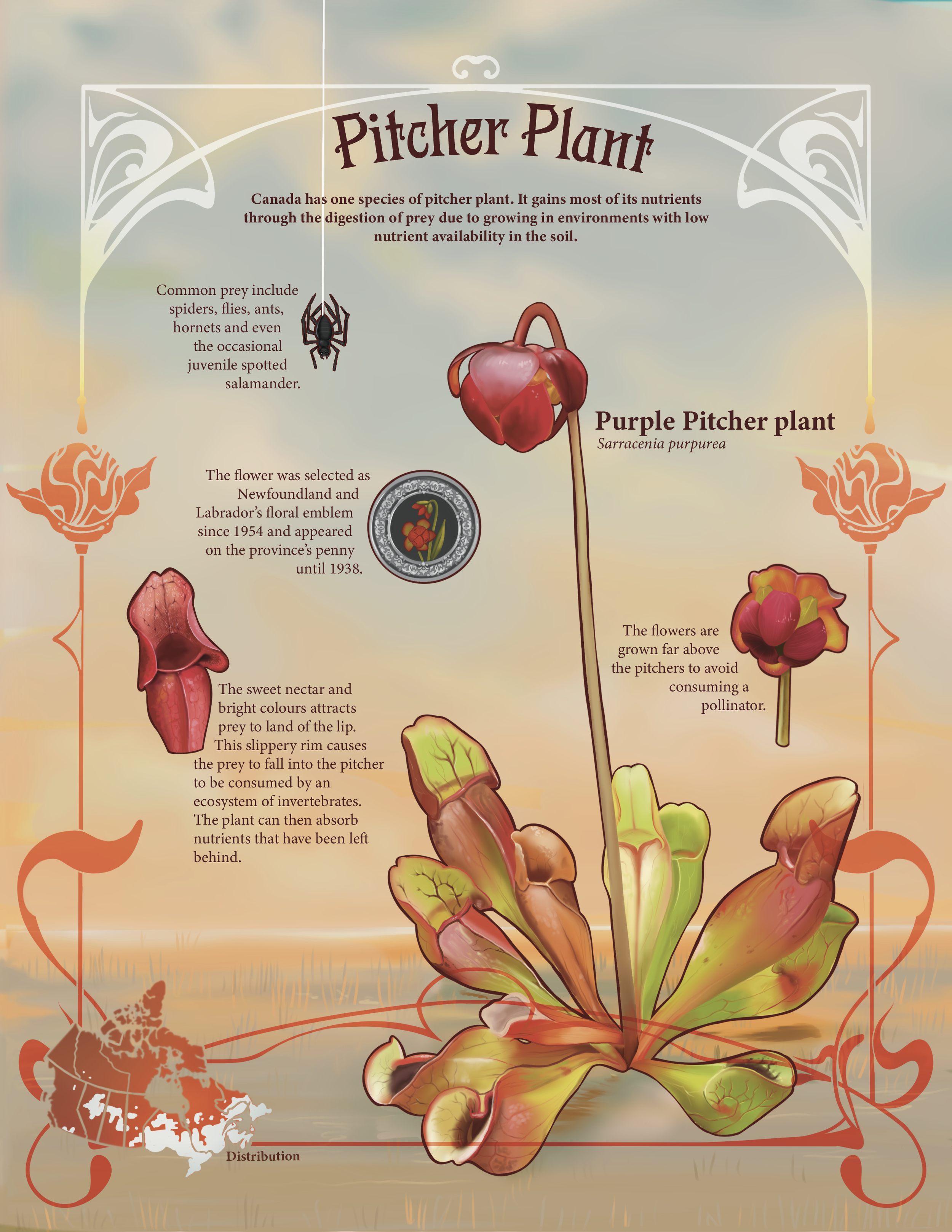 Infograph final-Illustrator-02.png