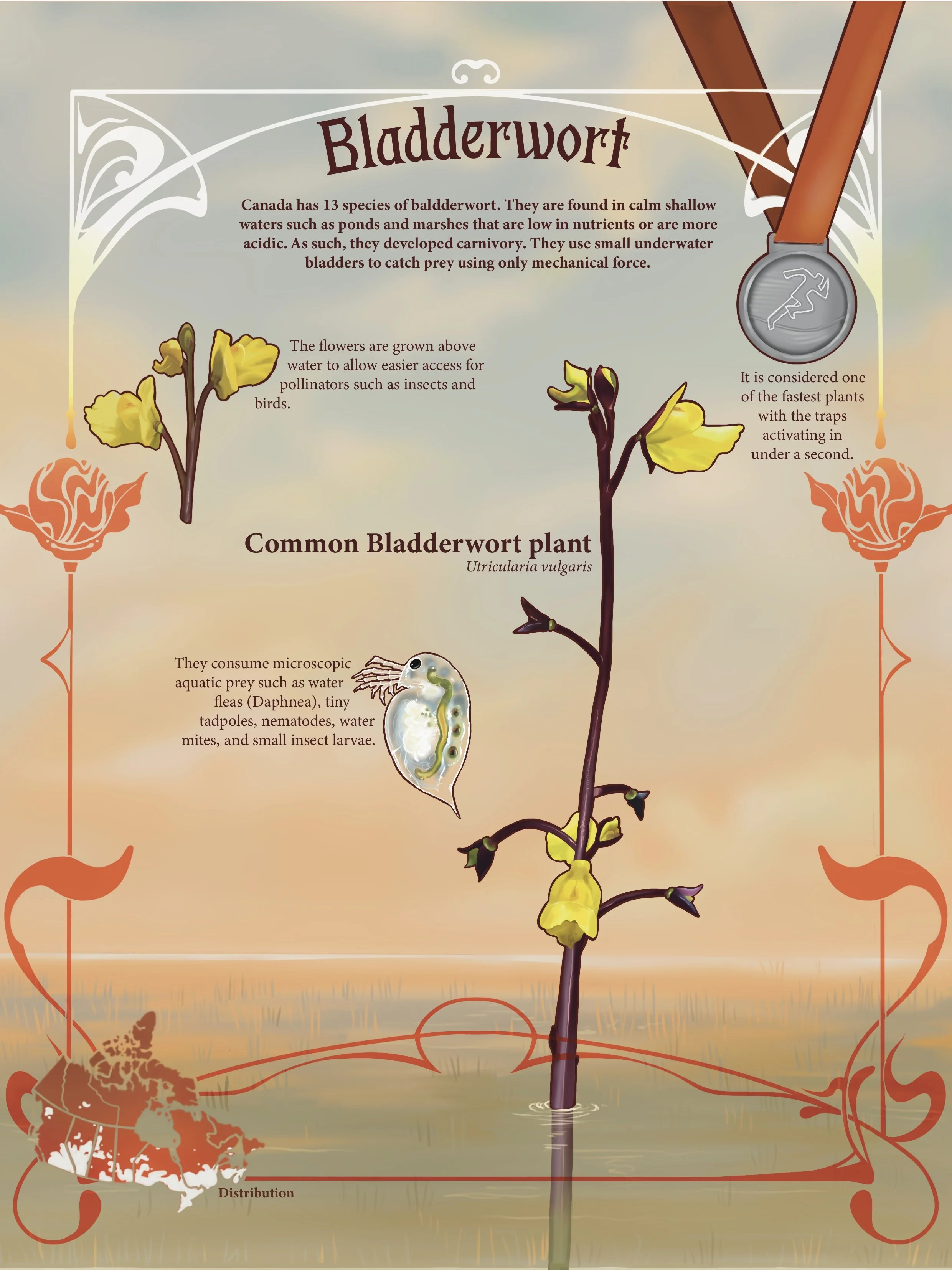 Infograph+final-Illustrator-04.jpg