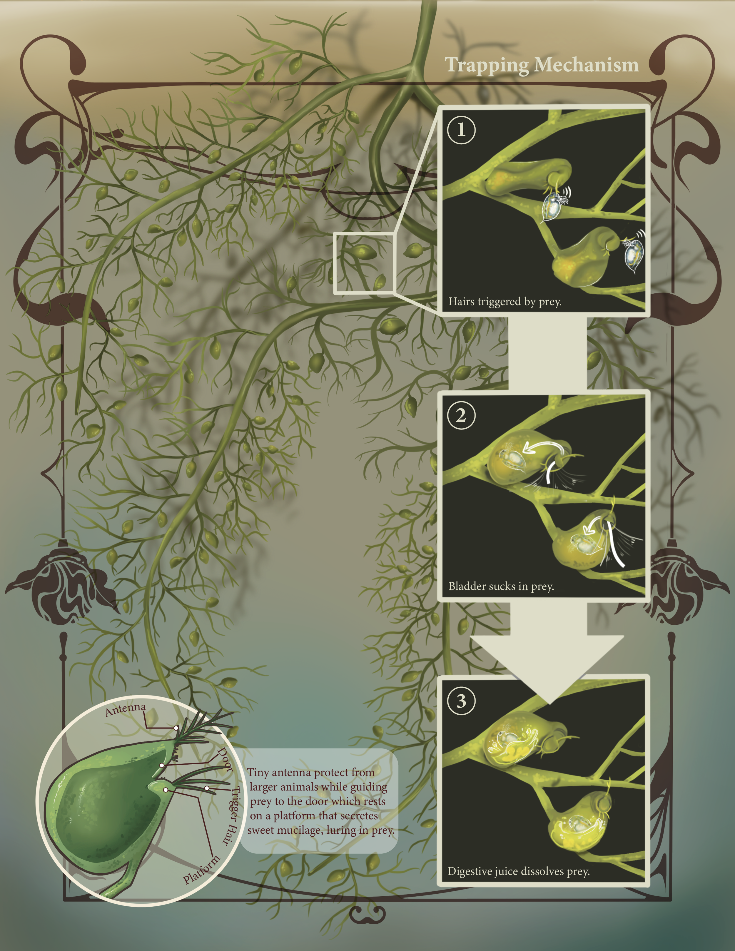 Infograph final-Illustrator-05.png