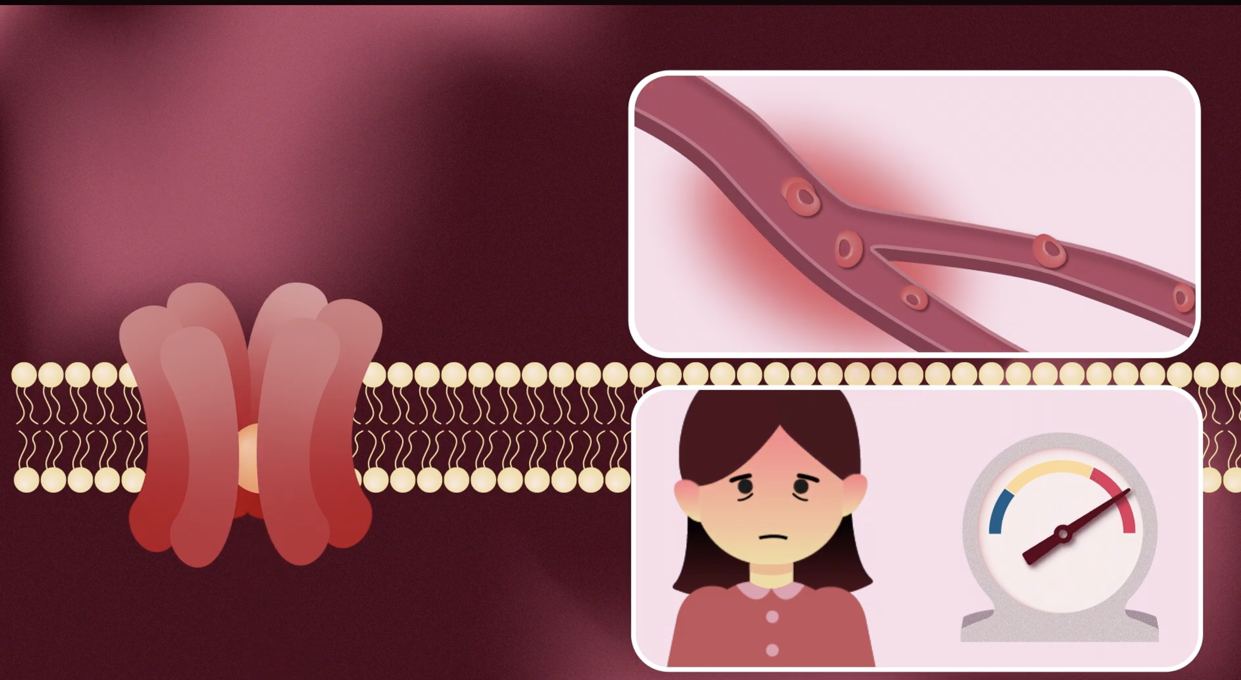 Menopause Animation