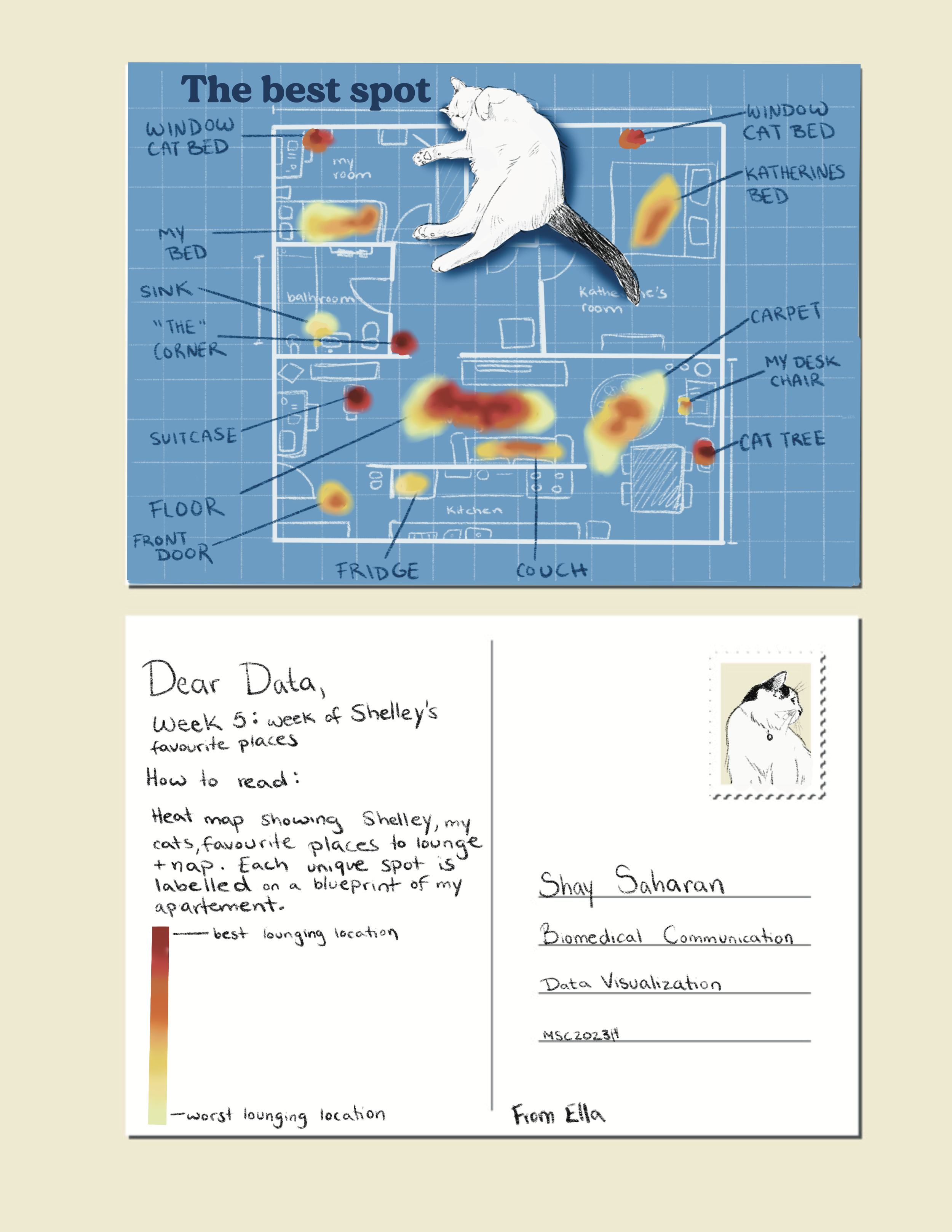 Week5_DearData_EllaEberhardt.png