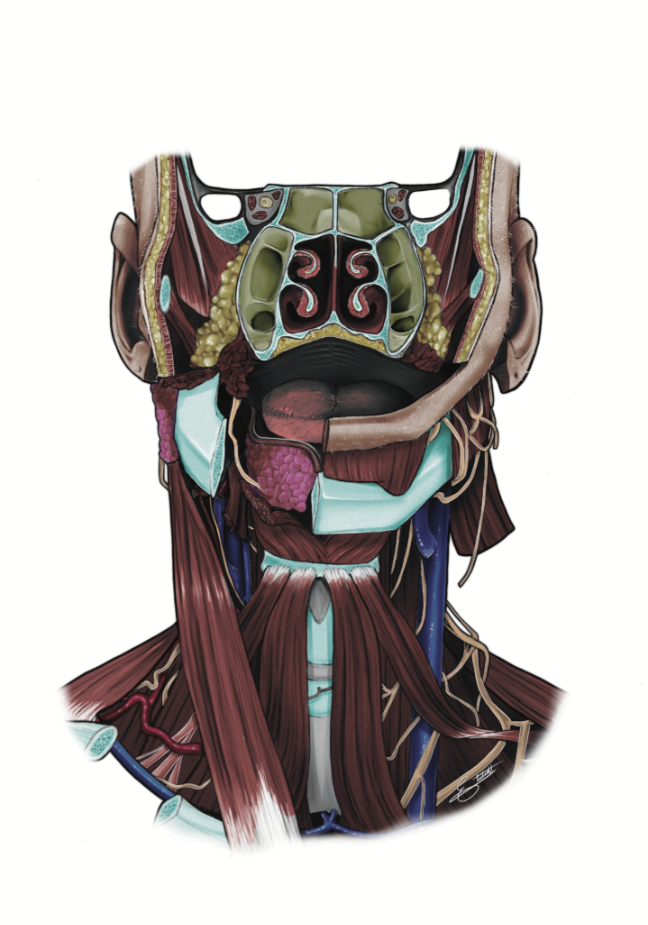 Screenshot 2025-06-30 144140.png