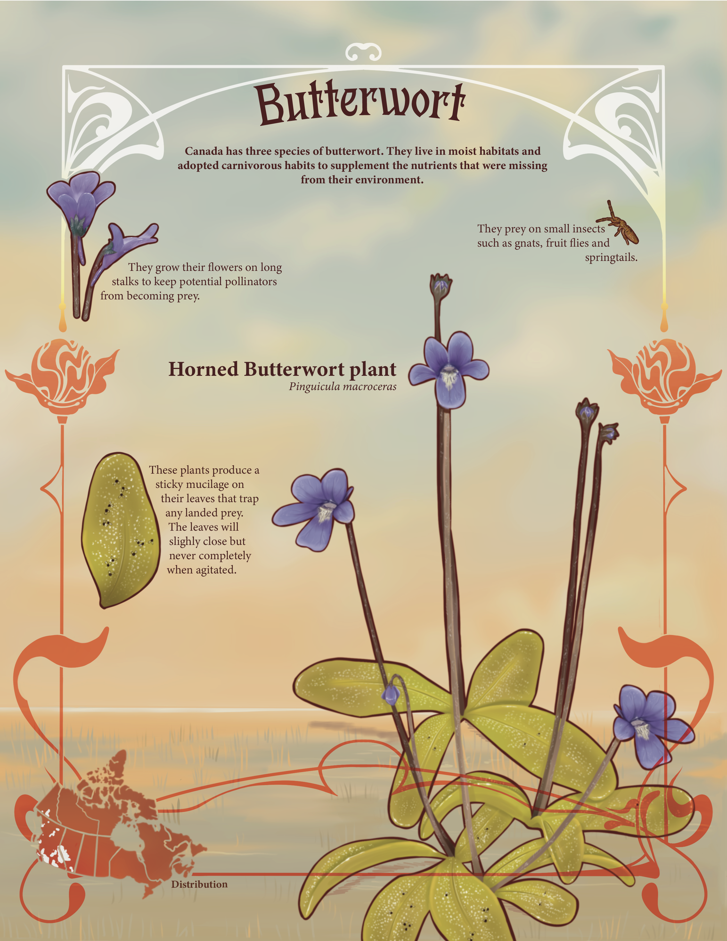 Infograph final-Illustrator-03.png