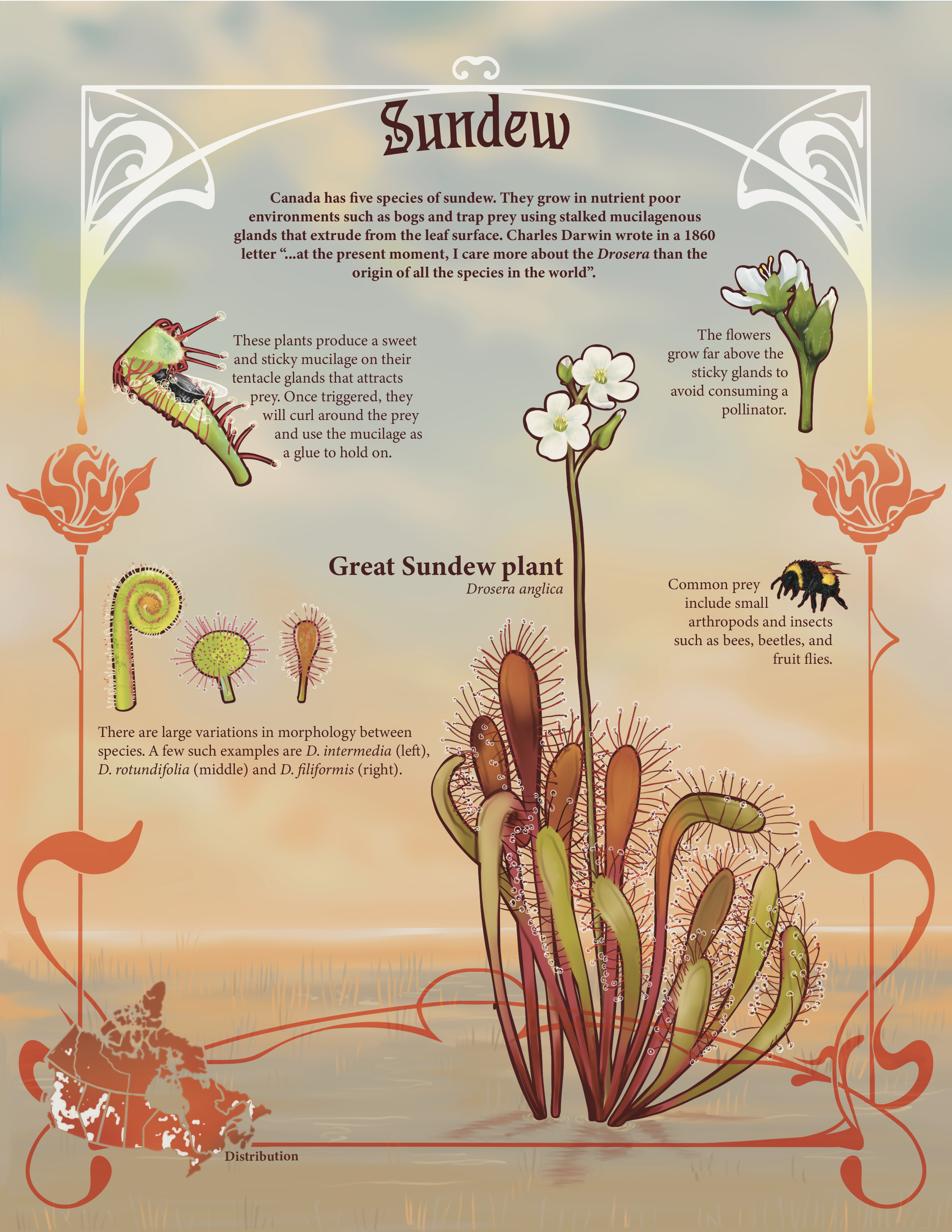 Infograph final-Illustrator-01.png