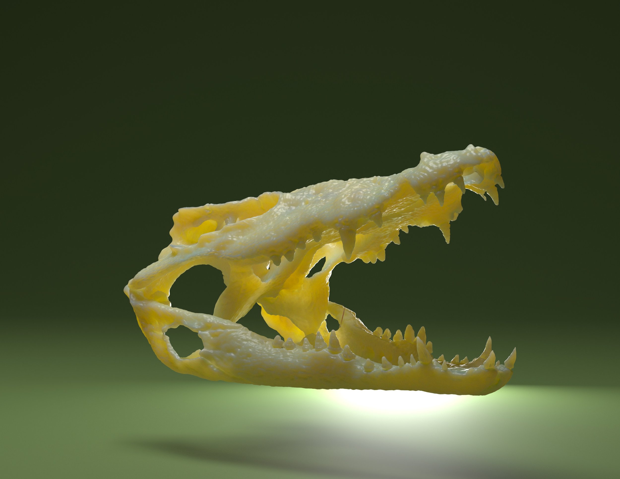 Crocodylus_rhombifer-Final Render.jpeg