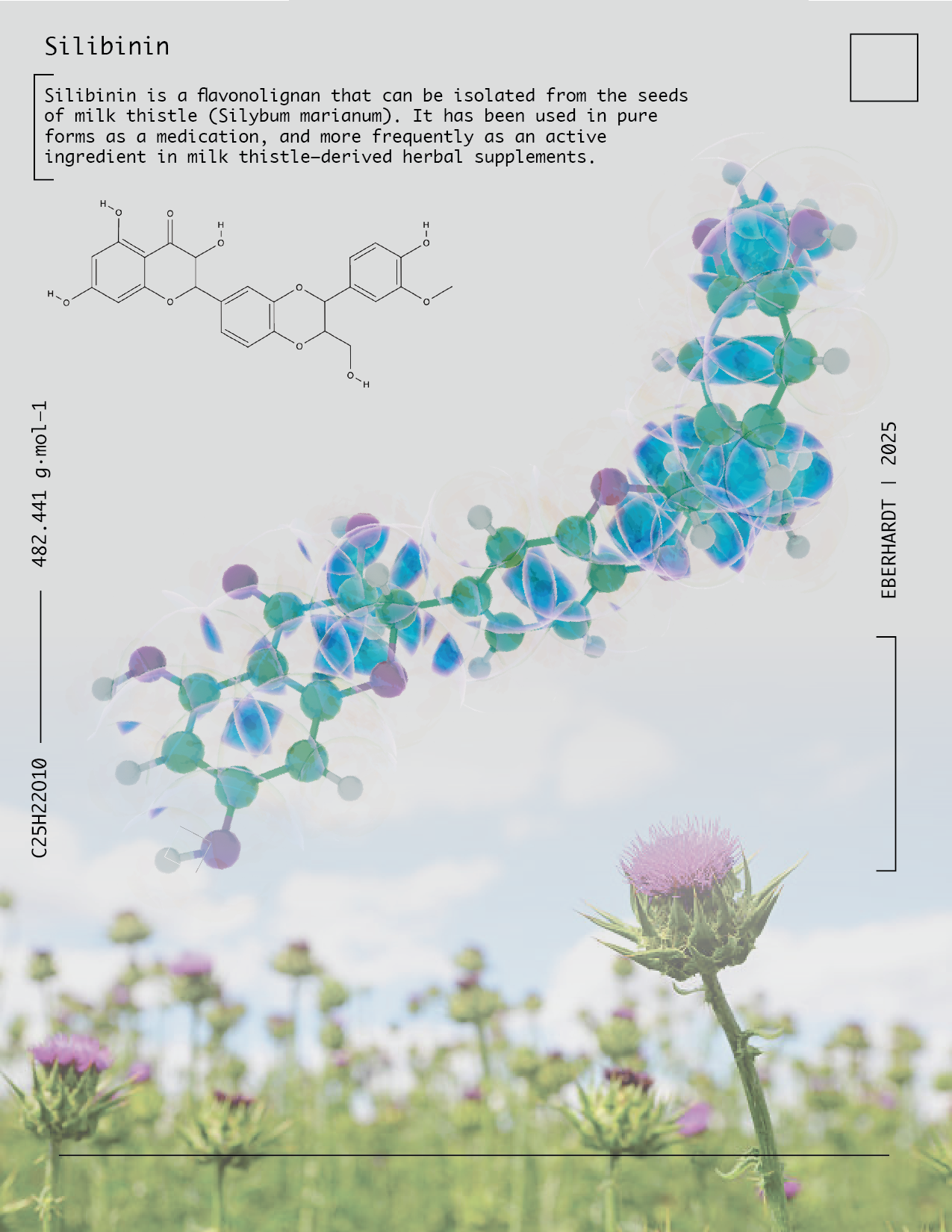 Mol Vis - milk thistle2.png