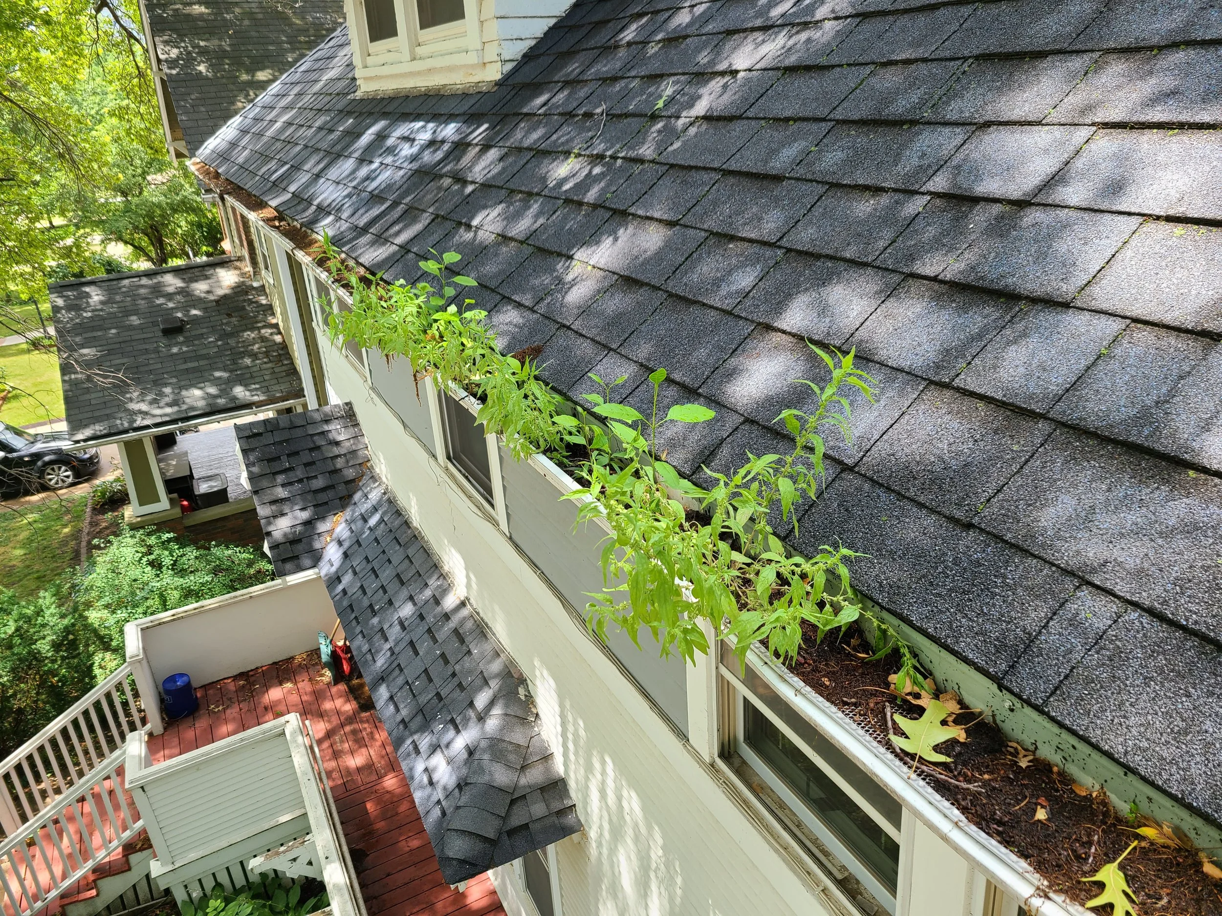 View of a house roof with dark shingles, some plants growing in the gutter, and a small balcony with a red deck and a blue bucket. The house is surrounded by trees and a driveway with parked cars.
