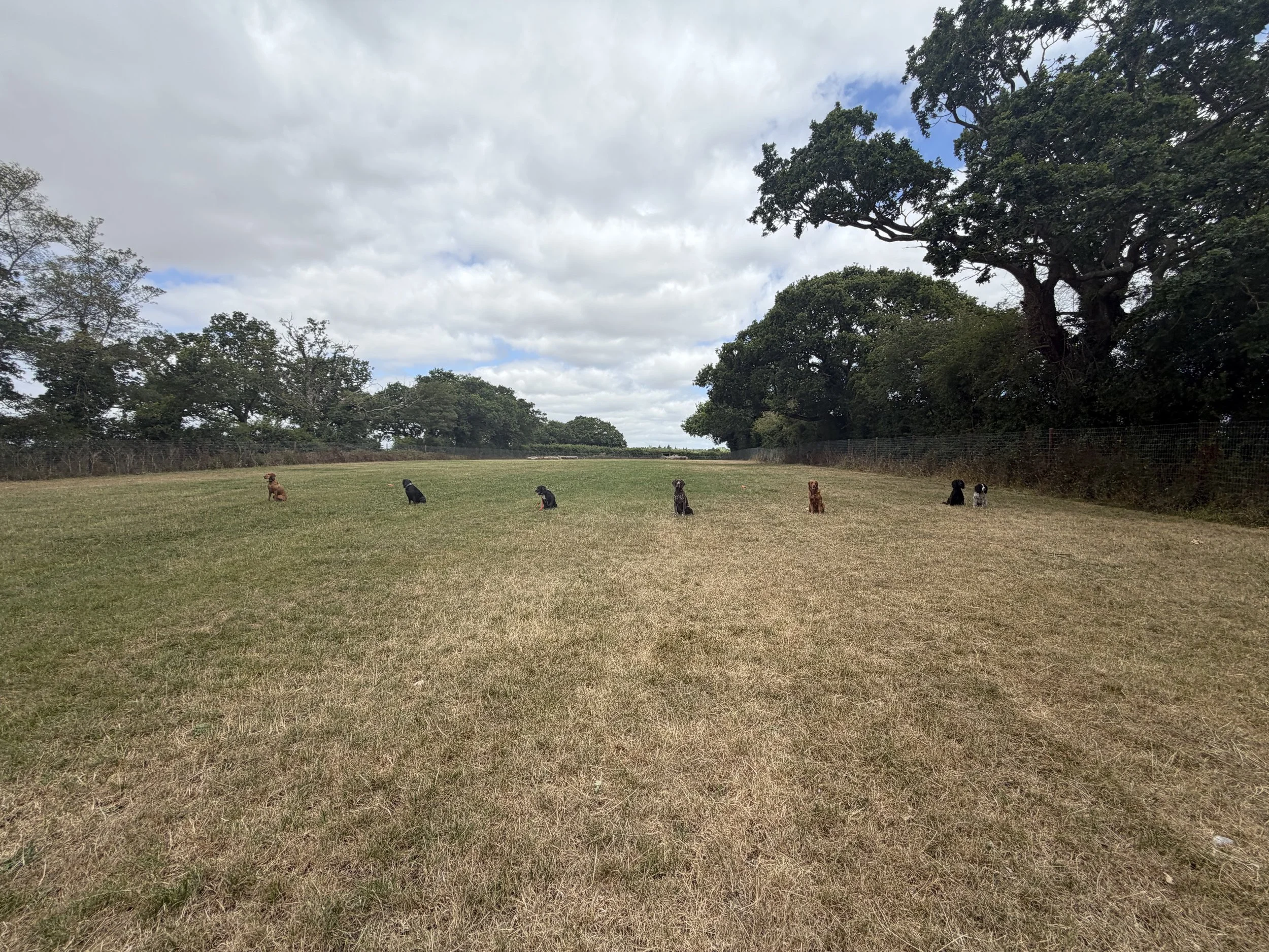 IMG_7906.jpeg