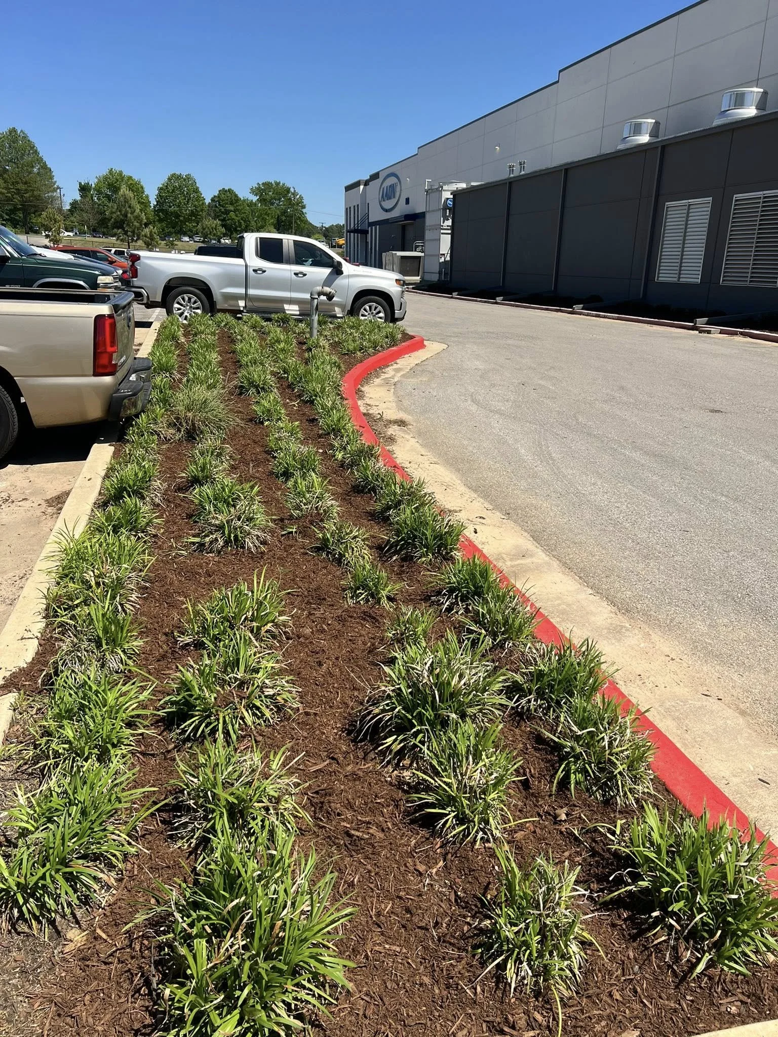 A parking lot with landscaped flower bed along the curb, next to a large commercial building, under a clear blue sky.