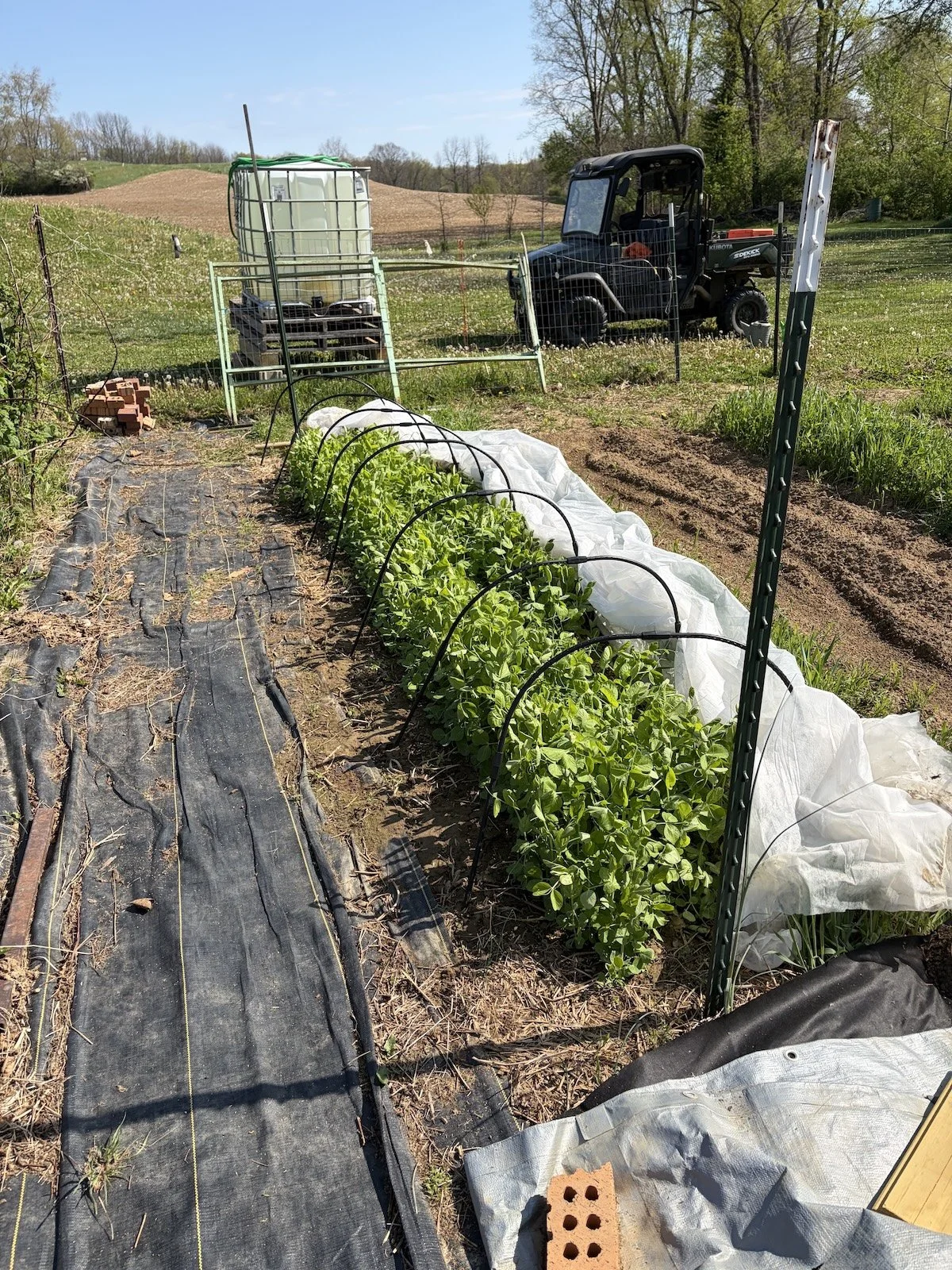 Busy days on the farm