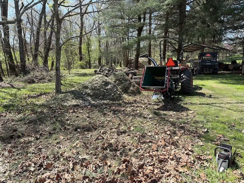 spring cleanup.jpeg