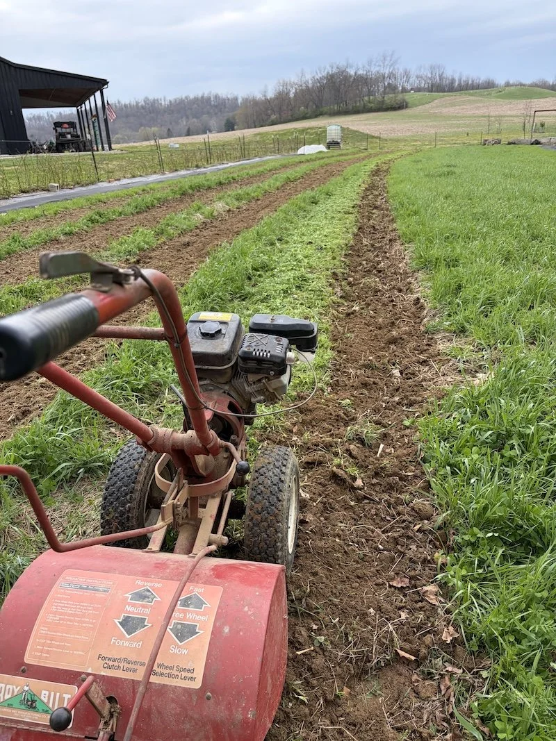 tiller view.jpeg