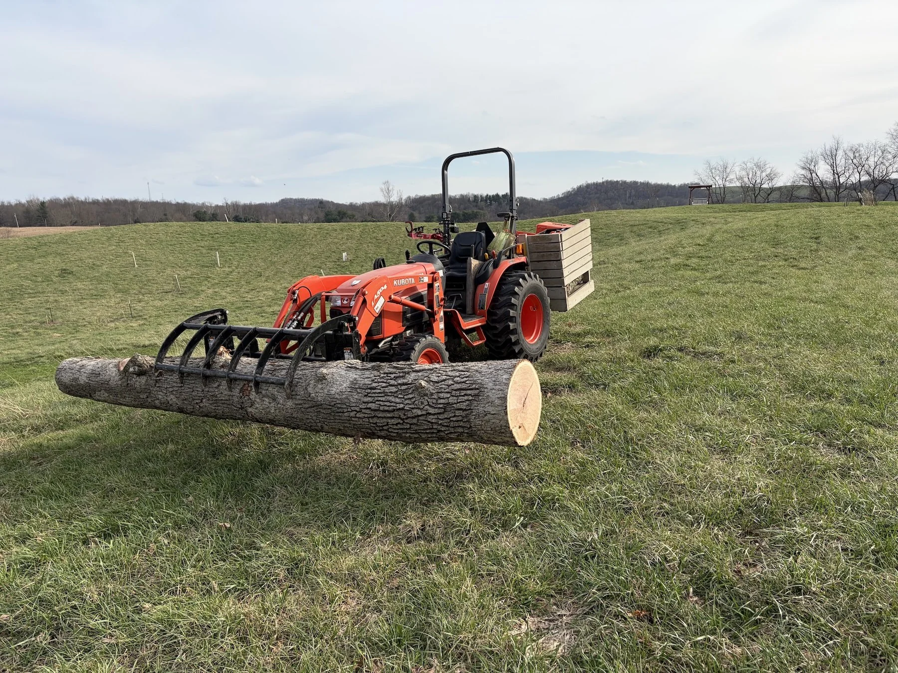 big log.jpeg