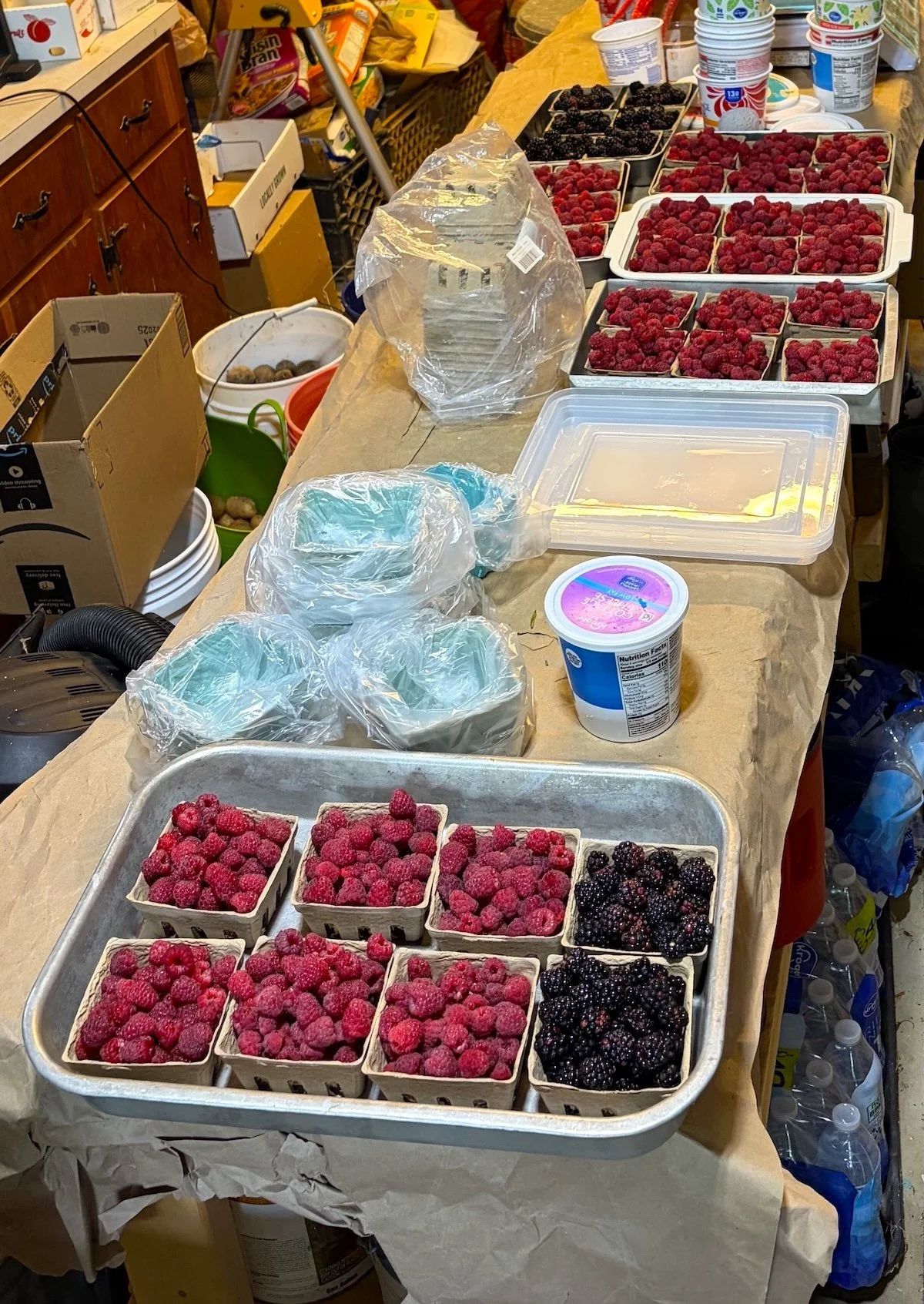 Berries for market.jpg