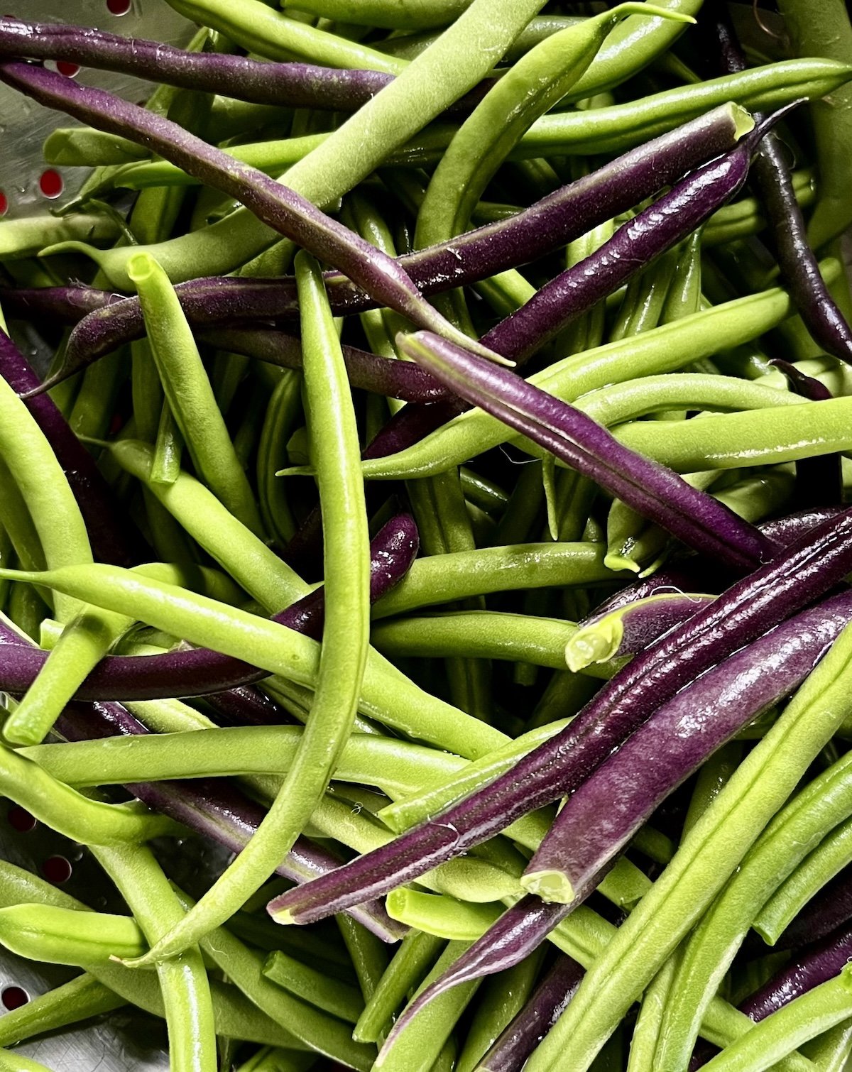 Beans!.jpeg