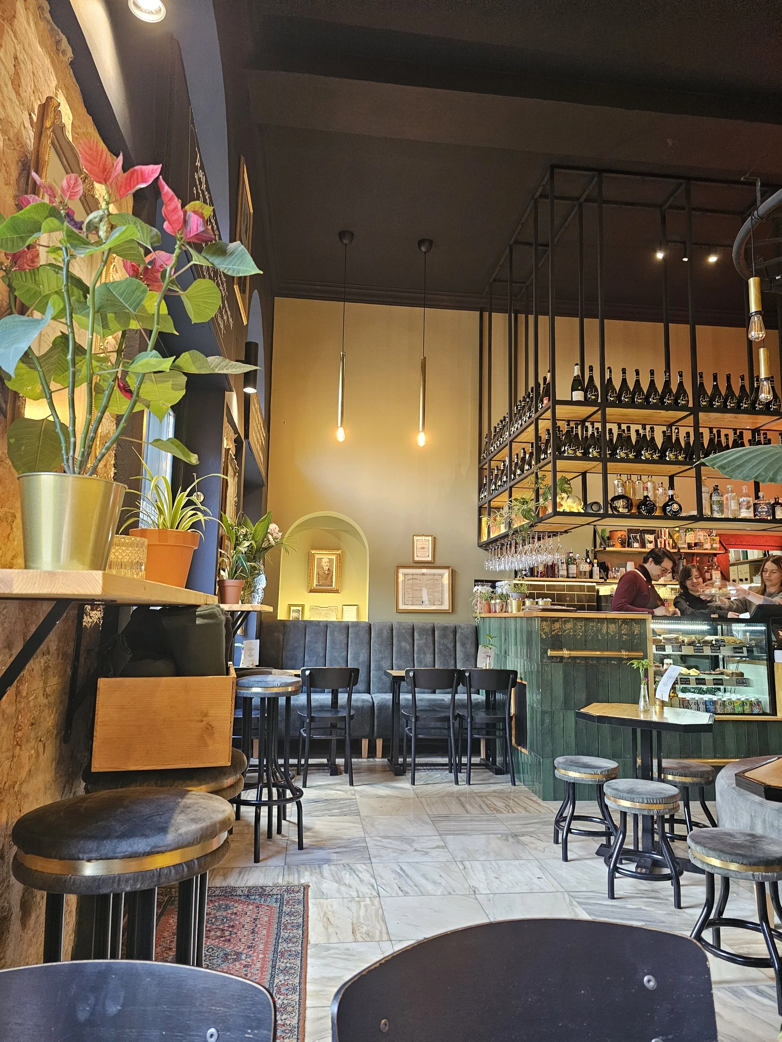 Interior of a cozy cafe with plants on shelves, a bar with bottles, and seating area with chairs and benches.