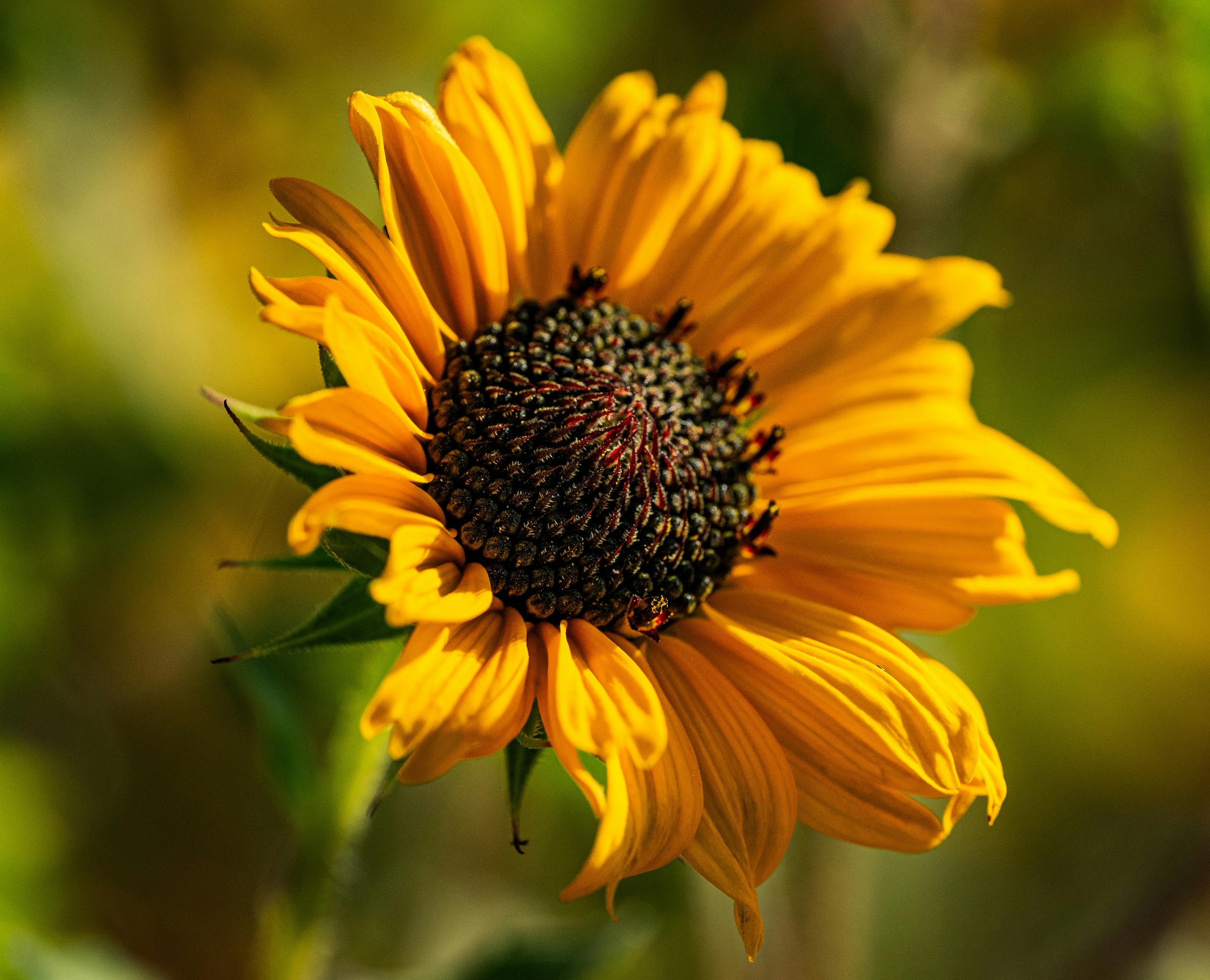 Newsletter #3 December 2025 