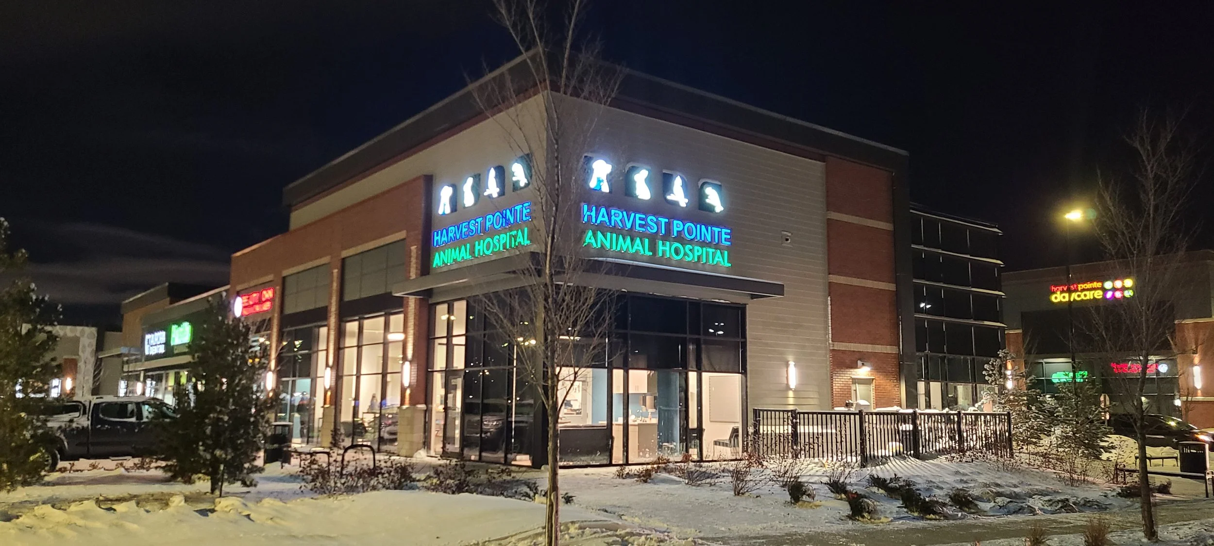 Night view of Harvest Pointe Animal Hospital in a shopping plaza, with brightly lit signs