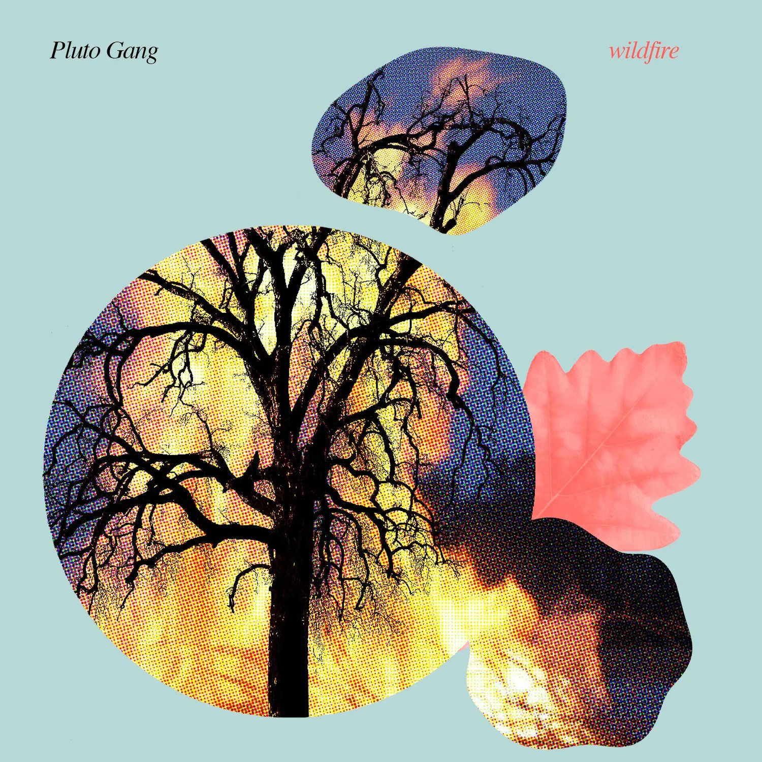 Wildfire_AlbumArt_1500.jpg